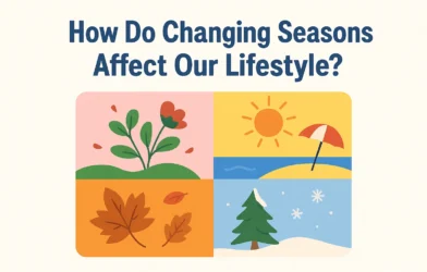 how do changing seasons affect our lifestyle